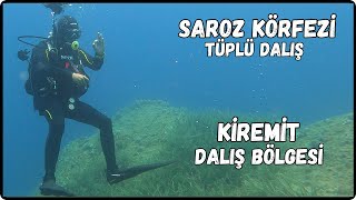 Saros Körfezi  İbrice Limanı Tüplü Dalış  Kiremit Dalış Bölgesi  Scuba Diving [upl. by Donnie]