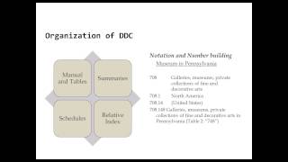 Principles of Classification [upl. by Gracye]