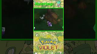 Pokemon Violet Shiny 0753 Fomantis shinypokemon [upl. by Sorips]