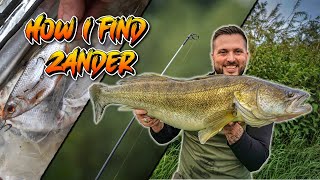 Fish the TIP to find Zander  zander zanderfishing deadbaiting [upl. by Nyledaj]