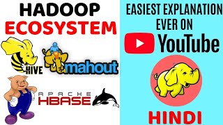 Ecosystem Structure Types and FunctionsExplained in Hindi  Ecosystem and Environment Lesson1 [upl. by Eelram]