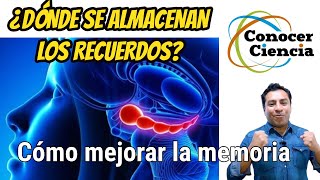 Neurociencia ¿Donde se almacenan los recuerdos El paciente HM y cómo mejorar la memoria [upl. by Terena109]