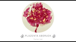 Plazenta Abdruck Tutorial [upl. by Nickey]