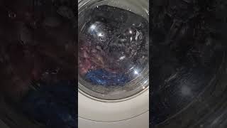 Electrolux EWW 1649  rinse [upl. by Dnomyad]