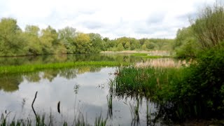 WALK ABOUT TOWN Pennington Flash Country Park amp Nature Reserve [upl. by Colis]