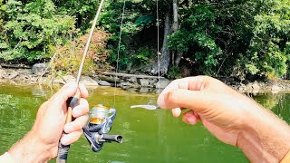 4 Hours of RAW and UNCUT Ultralight Fishing with Gulp Minnows  Chilhowee Lake [upl. by Dixie806]