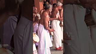 Thriprayar Ramesan Marar Pathikalam Mukham 🎶 Panchavadyam at Thiruvanikkavu Temple Arattu Ulsavam 🎉 [upl. by Anitaf]