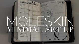 Moleskine minimal spread set up [upl. by Ahtnammas177]