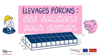 Projet GOPEI Occitanie  élevages porcins des solutions pour demain [upl. by Lorrayne]