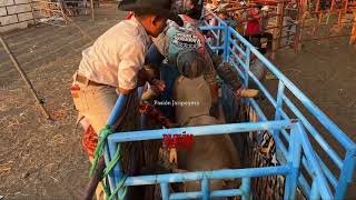 🔴 RANCHO LOS TORNADOS en Vivo 🔴 Tarimoro Guanajuato 13 Mayo 2024  Jaripeo Completo [upl. by Ardiek]