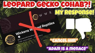 MY RESPONSE Wickens Wicked Reptiles amp Leopard Geckos quotcohabbing leopard geckosquot VIDEO NOT happy [upl. by Ursulina]