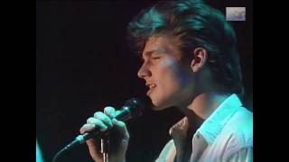 Aha  Scoundrel Days Live Drammenshallen 10021987 [upl. by Wampler]