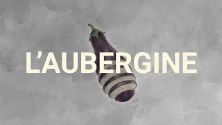 Comment conserver les aubergines pour en profiter à lannée [upl. by Any]