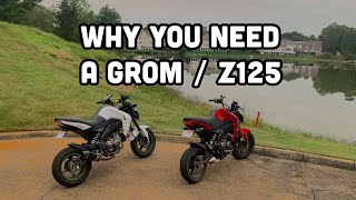 Why You Need A Grom  Z125 [upl. by Brier124]