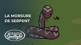 Août 24 – La morsure de serpent [upl. by Kahle]