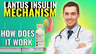 Lantus Insulin Mechanism of Action How Does It Work [upl. by Jestude]