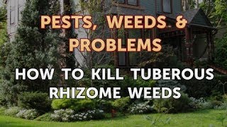 How to Kill Tuberous Rhizome Weeds [upl. by Notecnirp118]