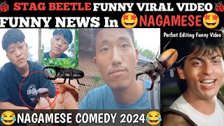 Nagaland Stag beetle funny news video Nagamese😀 IMBchann morefunwithak funnynaganews [upl. by Eeima]