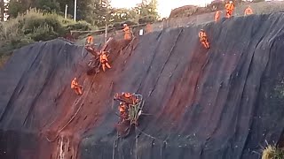 Dawlish cliff stabilization abseiling to protect the railway [upl. by Siraf390]