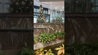 Christmas decorations icity travel saishaas [upl. by Seabury]