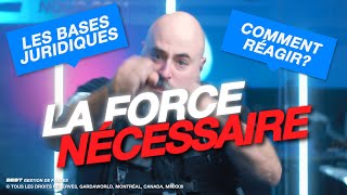 Le Recours à la Force Nécessaire  BEST Gestion de Foules amp Agents de Sécurité [upl. by Gonzalo897]