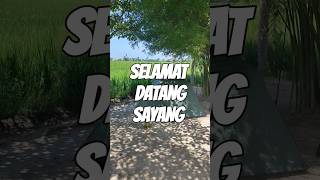 SELAMAT DATANG SAYANG BERLABUH KE PANGKUAN [upl. by Eetsim]