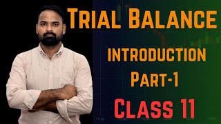 Trial Balance Introduction [upl. by Gally632]