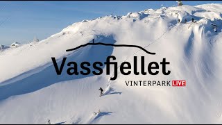 Vassfjellet LIVE [upl. by Assenal]