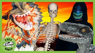 Dinosaur Halloween Party Halloween Special TRex Ranch Spooky Dinosaur Videos [upl. by Naols]