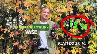 SLEVA 15  na rostliny k podzimní výsadbě [upl. by Ahsias]