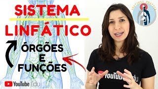 SISTEMA LINFÁTICO COMO FUNCIONA❗❓VOCÊ SABE❗❓Anatomia Prática [upl. by Painter]