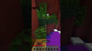 ブロックかくれんぼピックアップ  Plasma shorts minecraft hive hideandseek [upl. by Nosemyaj837]