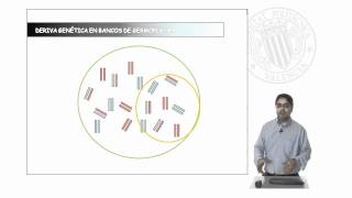 Contraste de la existencia de equilibrio HardyWeinberg  5595  UPV [upl. by Flynn]