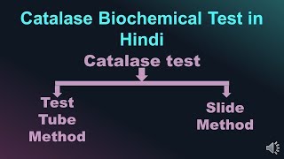 Catalase Biochemical Test in Hindi  Microbiology with Sumi [upl. by Lindsy950]