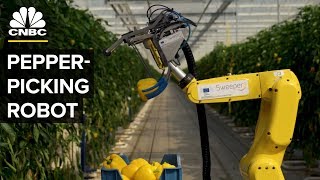 Watch This AI Robot Pick Peppers With A Tiny Saw [upl. by Llertniuq]