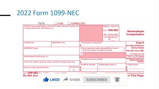 How To File Form 1099 NEC explain very InDepth Tutorial for 20232024 [upl. by Raclima335]