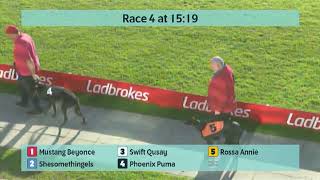 Crayford Greyhounds Races on 24th October 2024 [upl. by Norvol]