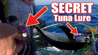 How to catch tuna  Marathon Florida Keys catch and cook [upl. by Marita]