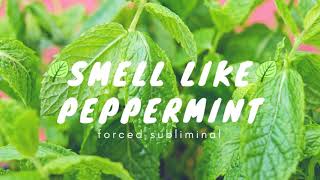 🌱Ｓｍｅｌｌ Ｌｉｋｅ Ｐｅｐｐｅｒｍｉｎｔ🌱｜ Ｆｏｒｃｅｄ Ｓｕｂｌｉｍｉｎａｌ [upl. by Kristoffer]