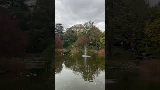 Germany  Bad Honnef schorts europe autumn nature travel 2024 relaxing vibes [upl. by Hgieleak]