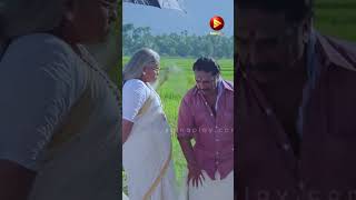 കുഞ്ഞൂട്ടൻ ഭക്ഷണം വിട്ട് ഒരു കളിയില്ല  Megham Comedy Scenes  Cochin Haneefa Comedy Scenes [upl. by Maurreen]