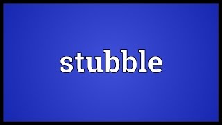 Stubble Meaning [upl. by Annatnom]