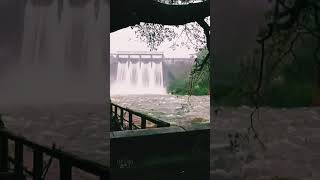 Peechi Dam  4 Shutters Opened and Heavy water fall [upl. by Hyde439]