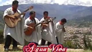 AGUA VIVA Si vienes a mi Abancay Huayno Apurimac [upl. by Aerona]