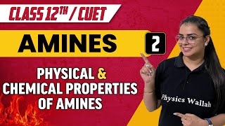 Amines 02  Physical amp Chemical properties of Amines  Class 12thCUET [upl. by Nelyak]