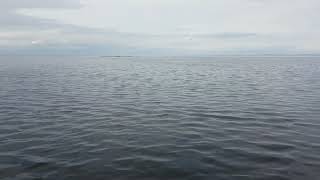 VIKING LONGSHIP LEAVING KINNEGO BAY ENTERING LOUGH NEAGH IRELAND [upl. by Noami]