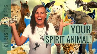 What’s Your SPIRIT ANIMAL And How To Find It They Can Help You [upl. by Oirretna]