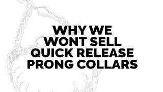 Why We WONT SELL Quick Release Prong Collars [upl. by Suiramed]