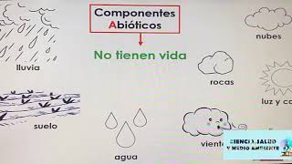 Componentes bióticos y abióticos de un ecosistema [upl. by Atirehs911]