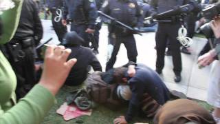 Raw Footage  UC Davis Protestors Pepper Sprayed [upl. by Magna468]